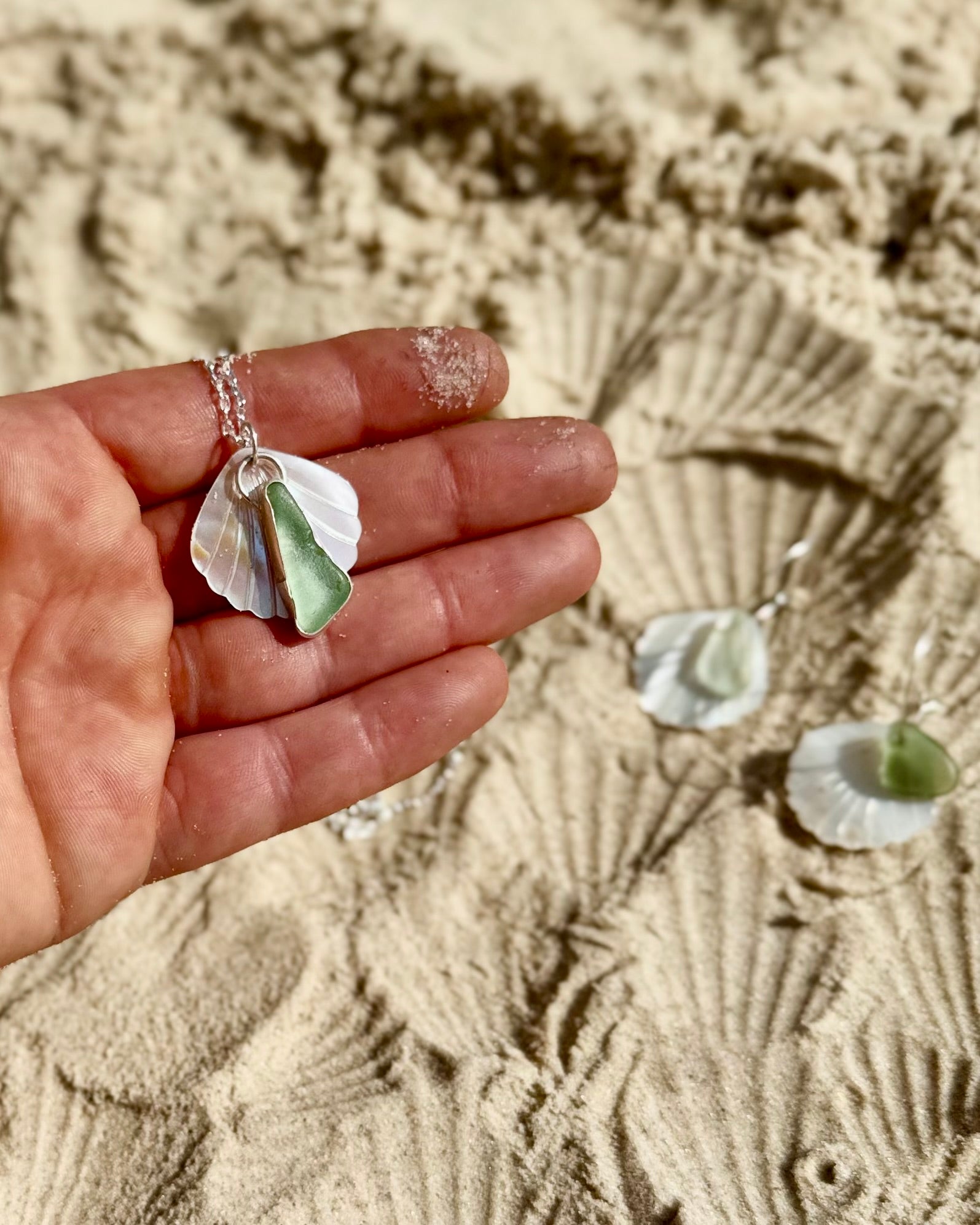 Sea Glass Shell Collection