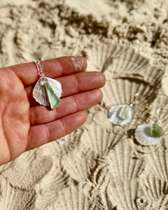 Sea Glass Shell Collection