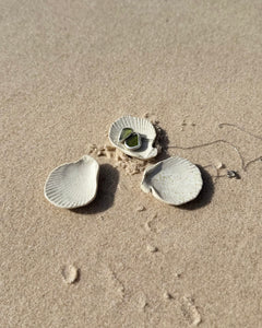 Sea Shell Jewellery Dish