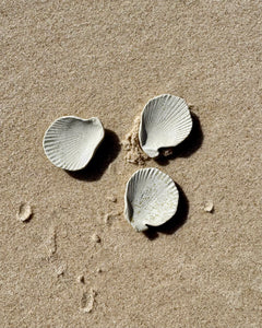Sea Shell Jewellery Dish