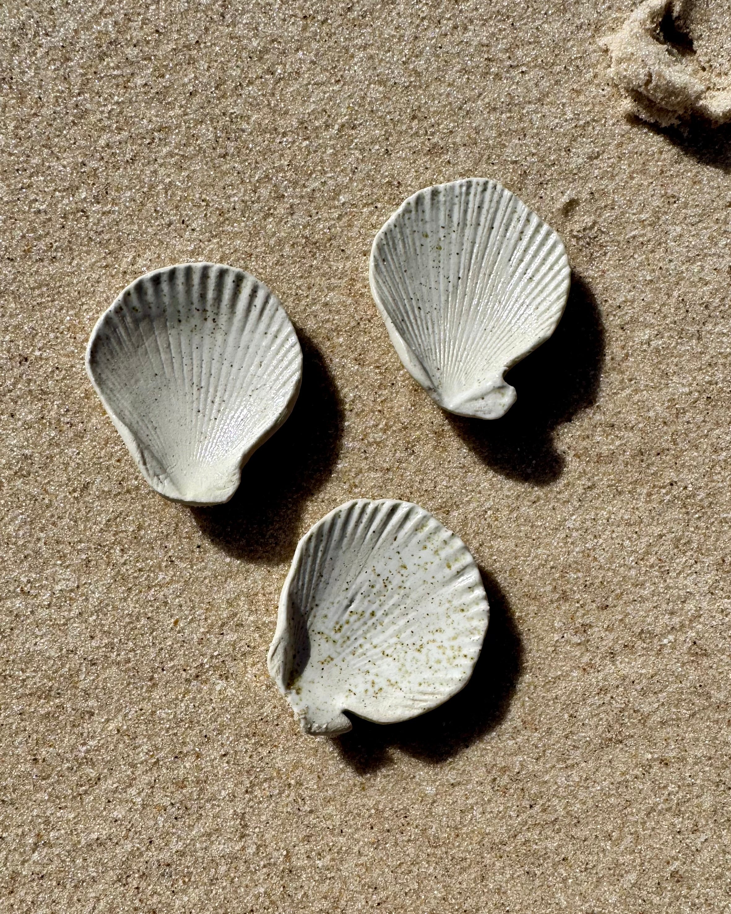 Sea Shell Jewellery Dish
