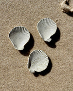 Load image into Gallery viewer, Sea Shell Jewellery Dish
