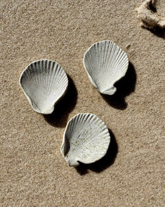 Sea Shell Jewellery Dish