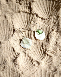 Sea Glass Shell Collection
