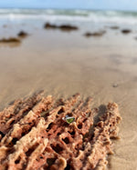 Load image into Gallery viewer, Sea Glass Ring Elevated
