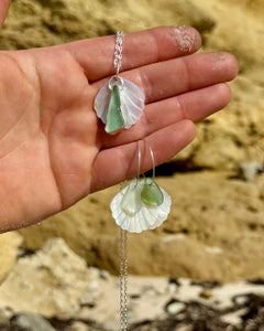 Sea Glass Shell Collection