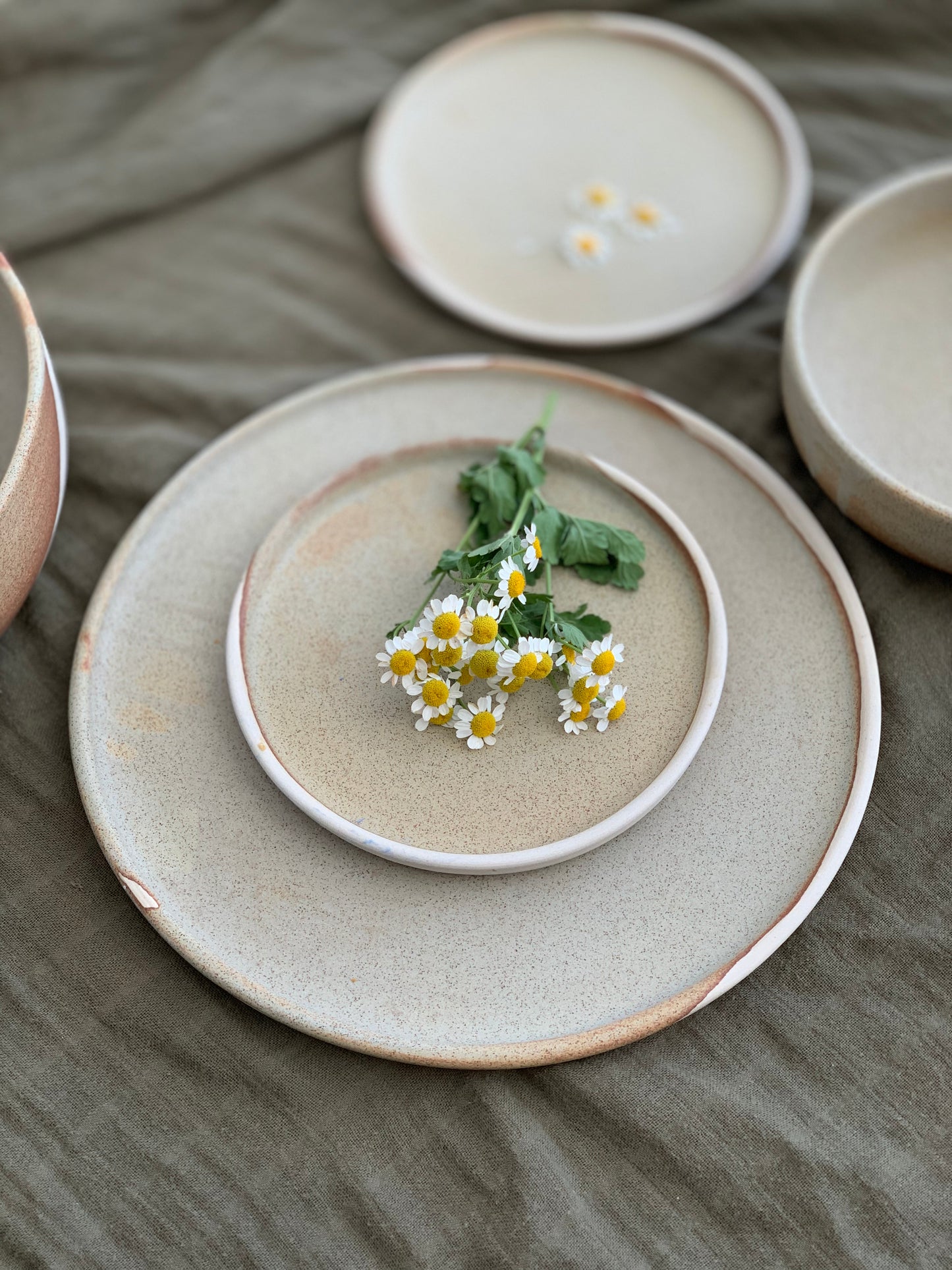Dinner Plates