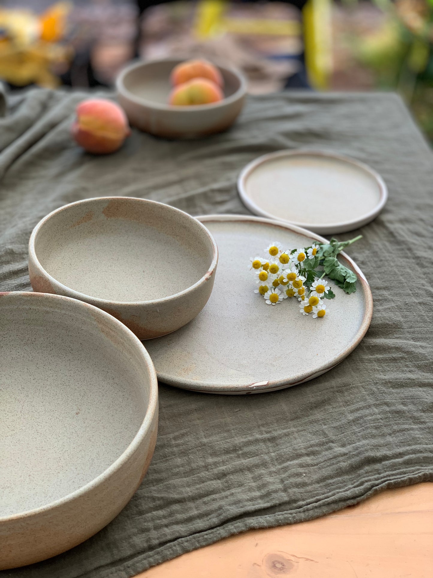 Dinner Plates